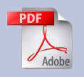 Curriculum Vitae